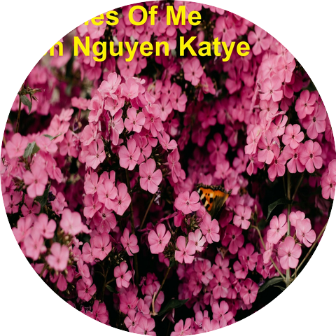 Bich Nguyen Katye