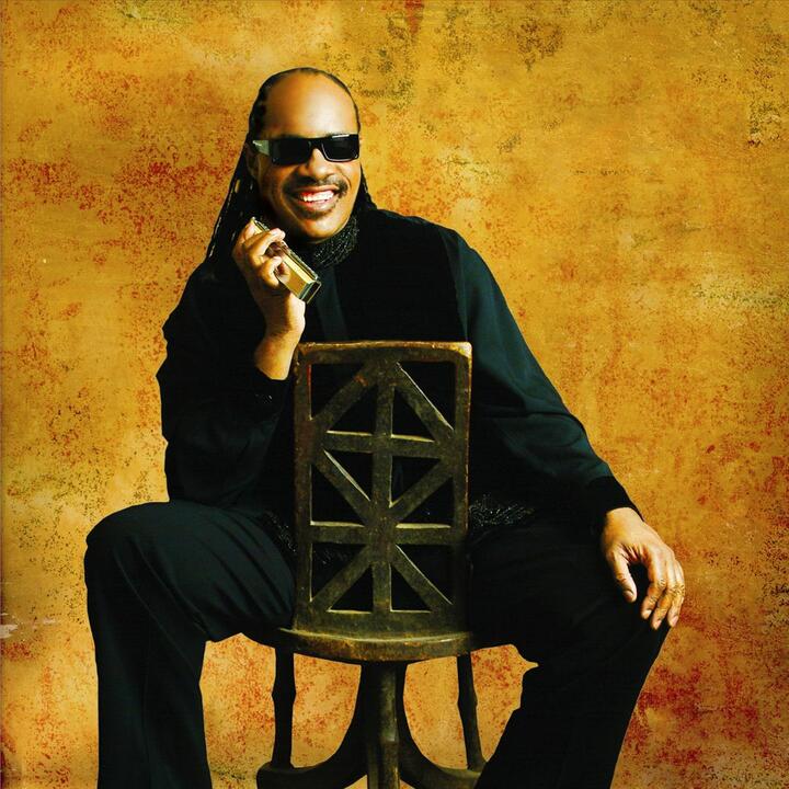 Stevie Wonder