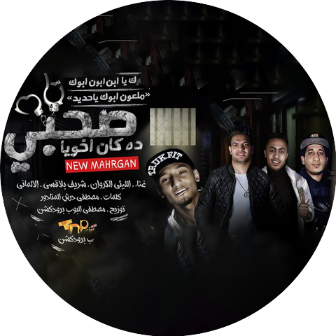 صالح الليثى