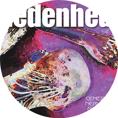 Ledenhed