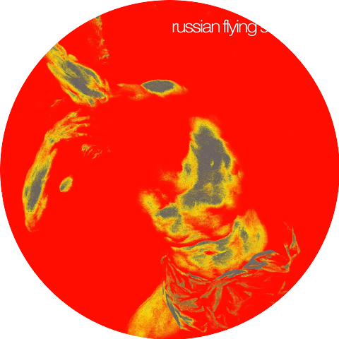 Russian Flying Squirrel