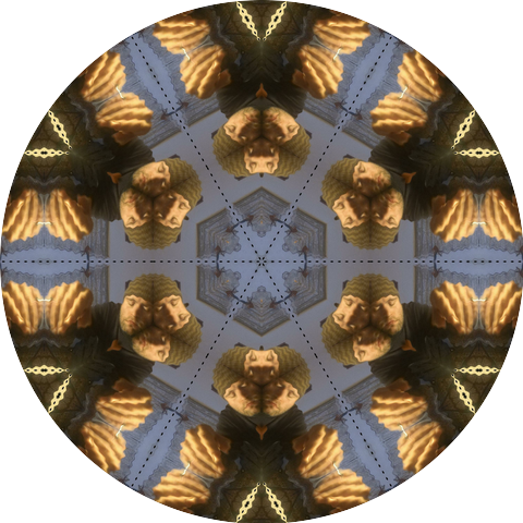 Pontuxicues