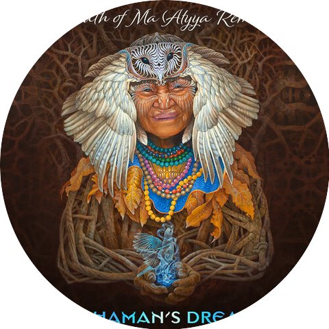 Bluetech & Shamans Dream