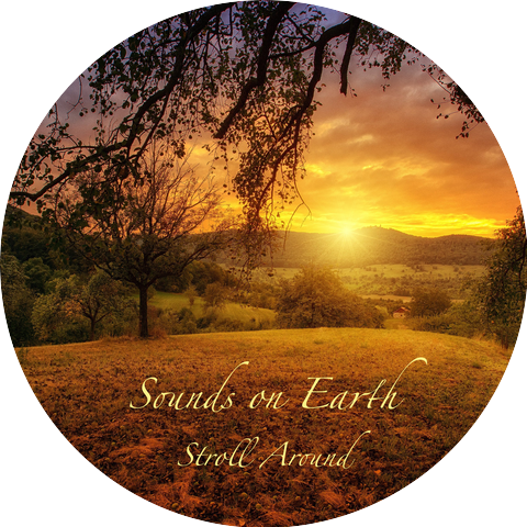 The Sounds Of Earth