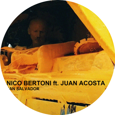 Nico Bertoni
