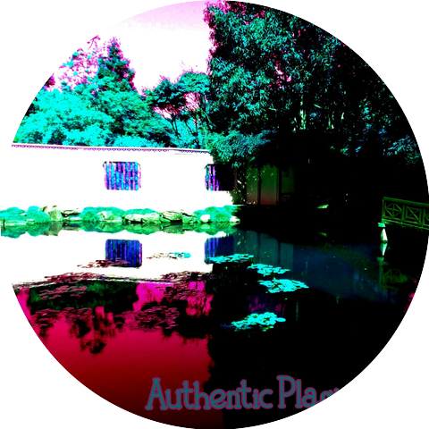 Authentic Plagiarism