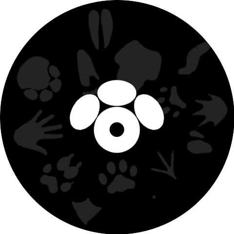 Futurepaw
