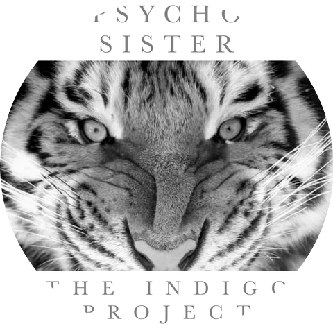 The Indigo Project by Aj Dee