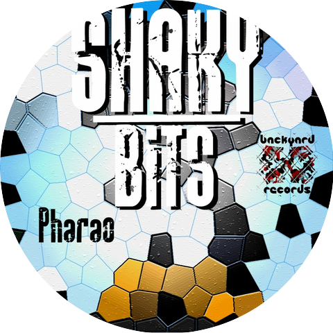 Shaky Bits