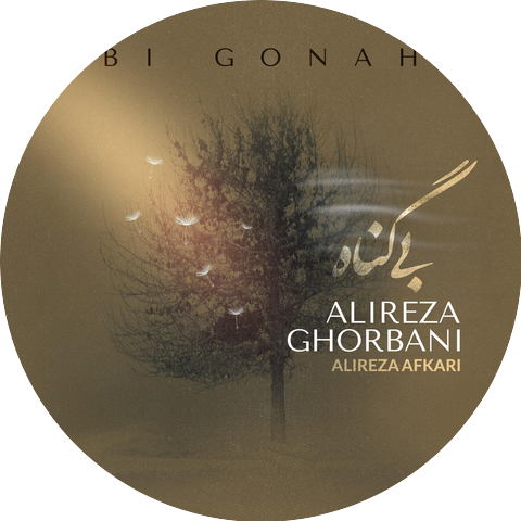 Alireza Ghorbani & Alireza Afkari