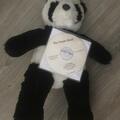 The Panda Band