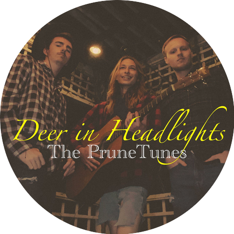 The PruneTunes