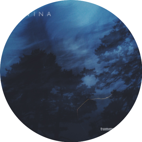 Havina
