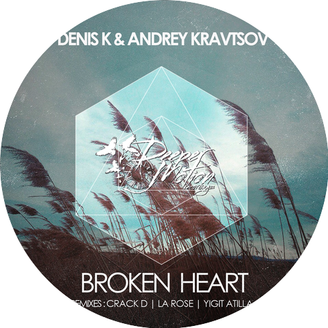 Denis K & Andrey Kravtsov