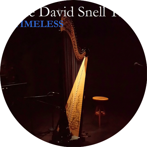 The David Snell Trio
