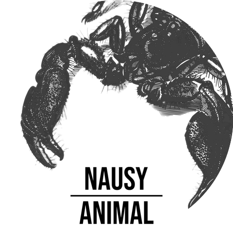 Nausy