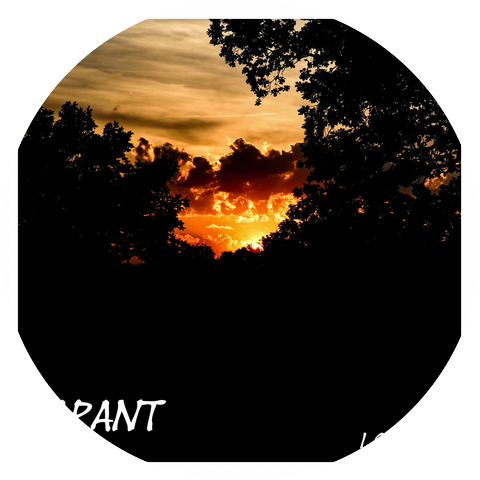 LARANT Music