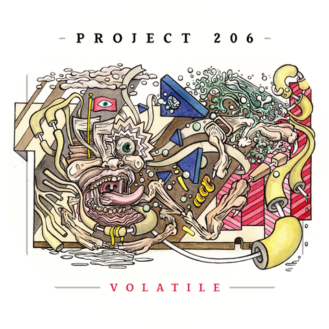 Project 206