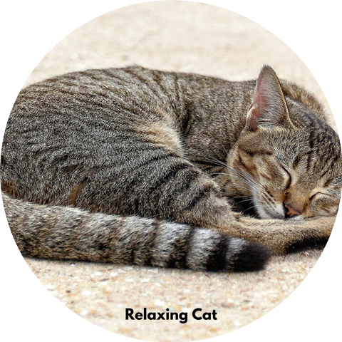 The Cat Relaxer