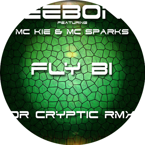 Teebone Feat: Mc Kie & Mc Sparks