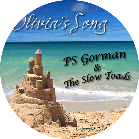 PS Gorman and the Slow Toads