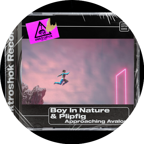 Boy in Nature & Plipfig