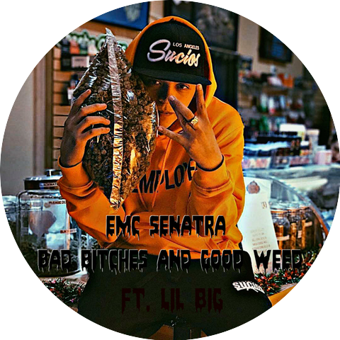 EMC SENATRA