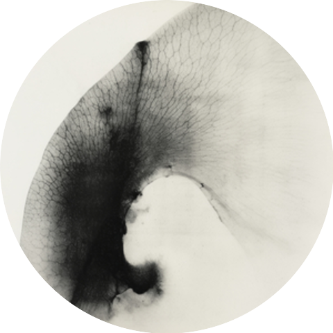 Corrado Maria De Santis