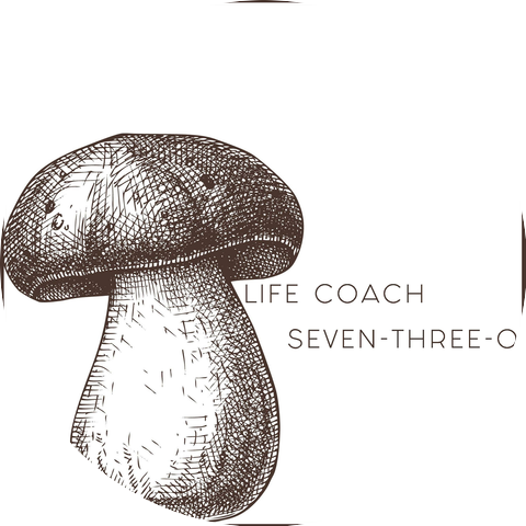 Life Coach
