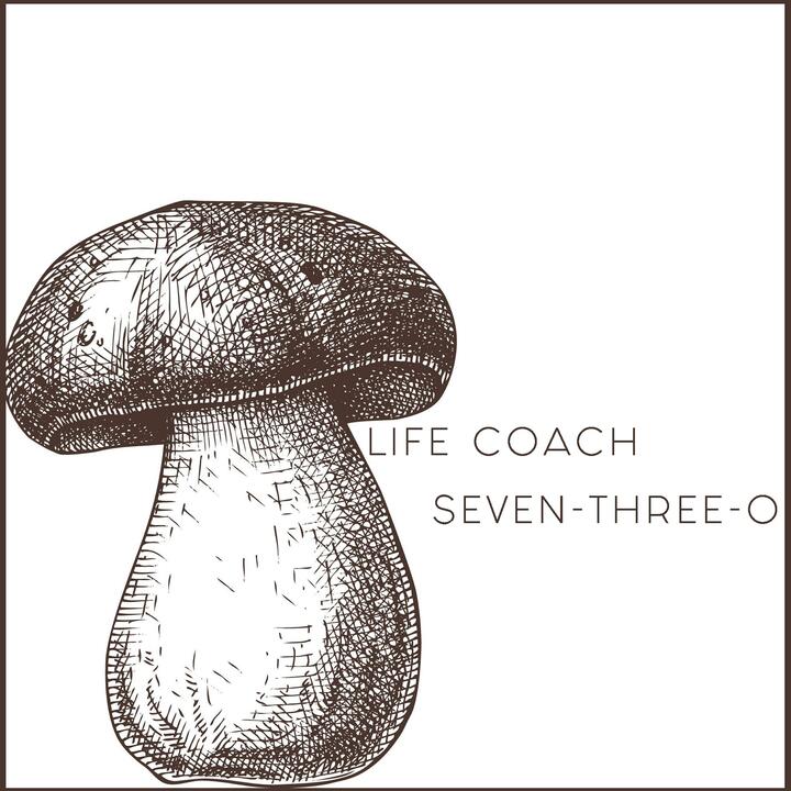 Life Coach