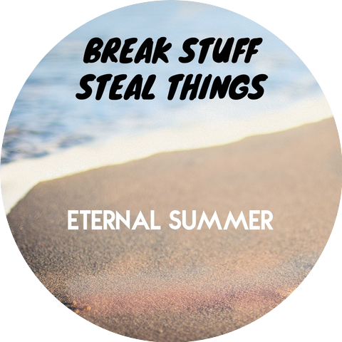 Break Stuff Steal Things