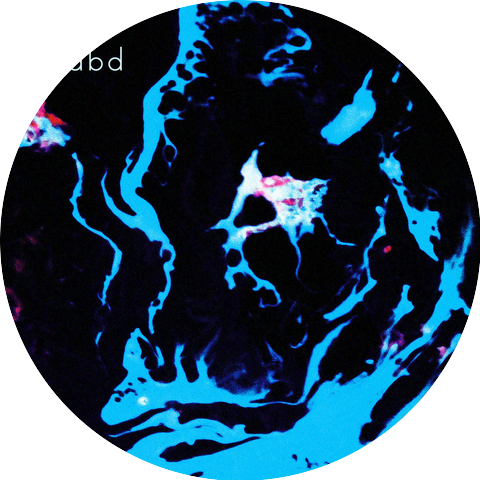 bdbd