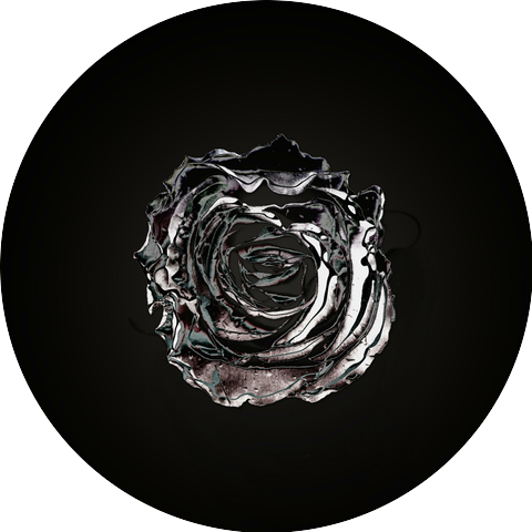 Steel Roses