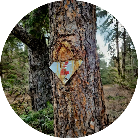 Interpretive Tyranny