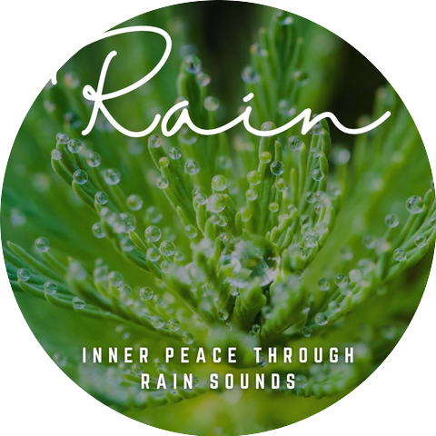 Ricky Rainsound