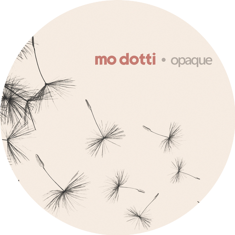 Mo Dotti