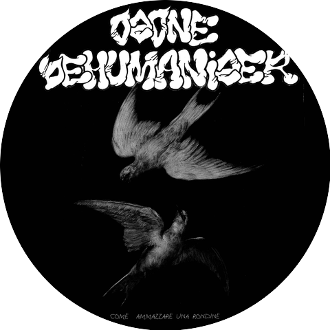 Ozone Dehumanizer
