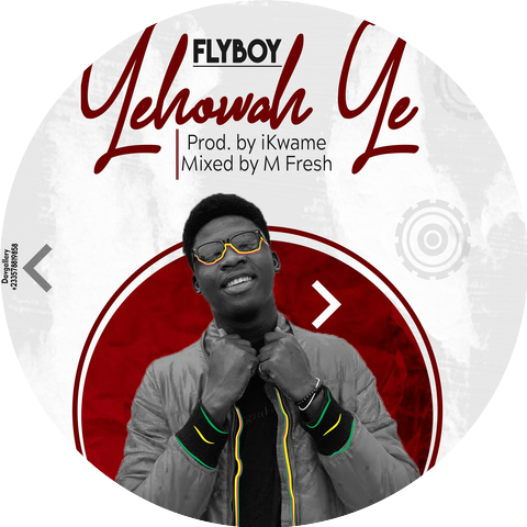 The Official Flyboy