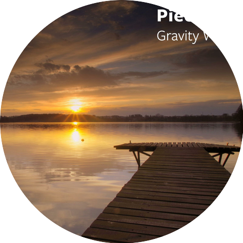 Gravity Wins