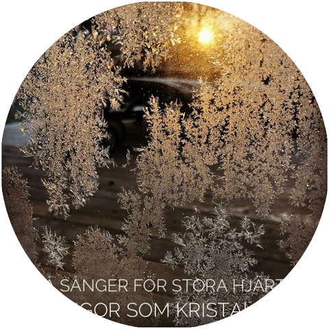 Små Sånger För Stora Hjärtan
