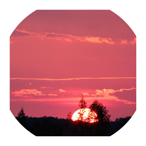 Instrumental Piano for Study