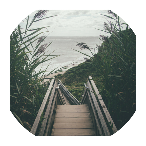 Instrumental Morning Music