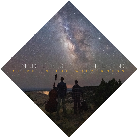 Endless Field