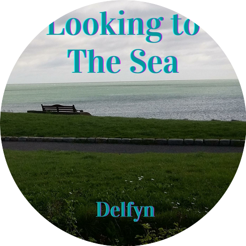 Delfyn