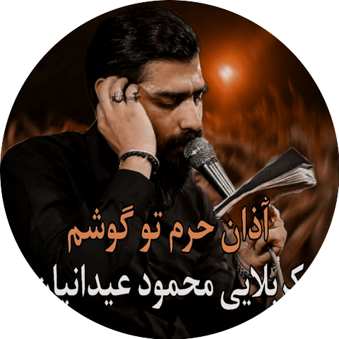 سيد عباس الدنيناوي