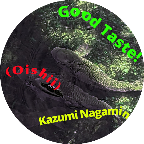 Kazumi Nagamine