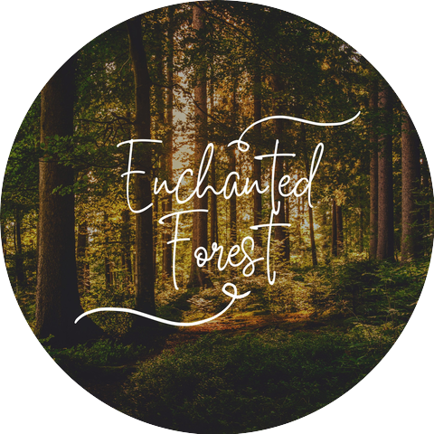 Rainforest Lullabies