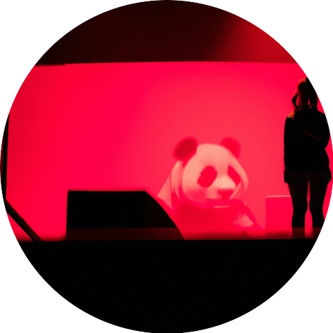 Dizzy Panda