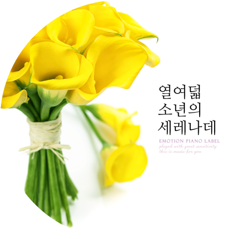 태양 Tae Yang