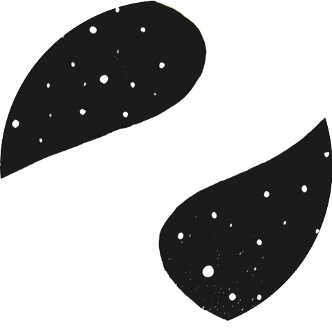 Landscapes and Sceneries